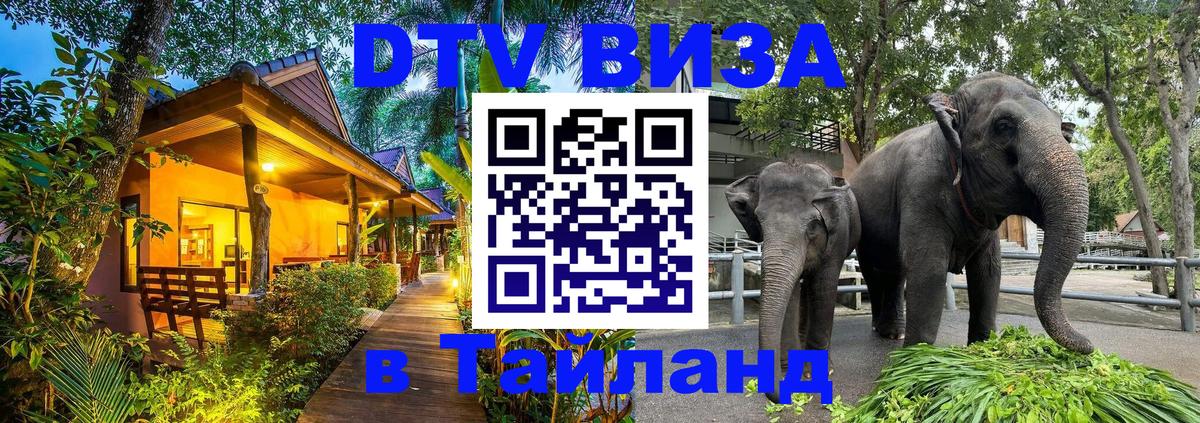 Оформить DTV визу в Тайланд 